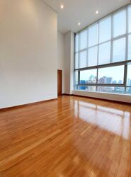 Skyline @ Orchard Boulevard (D9), Apartment #410725661